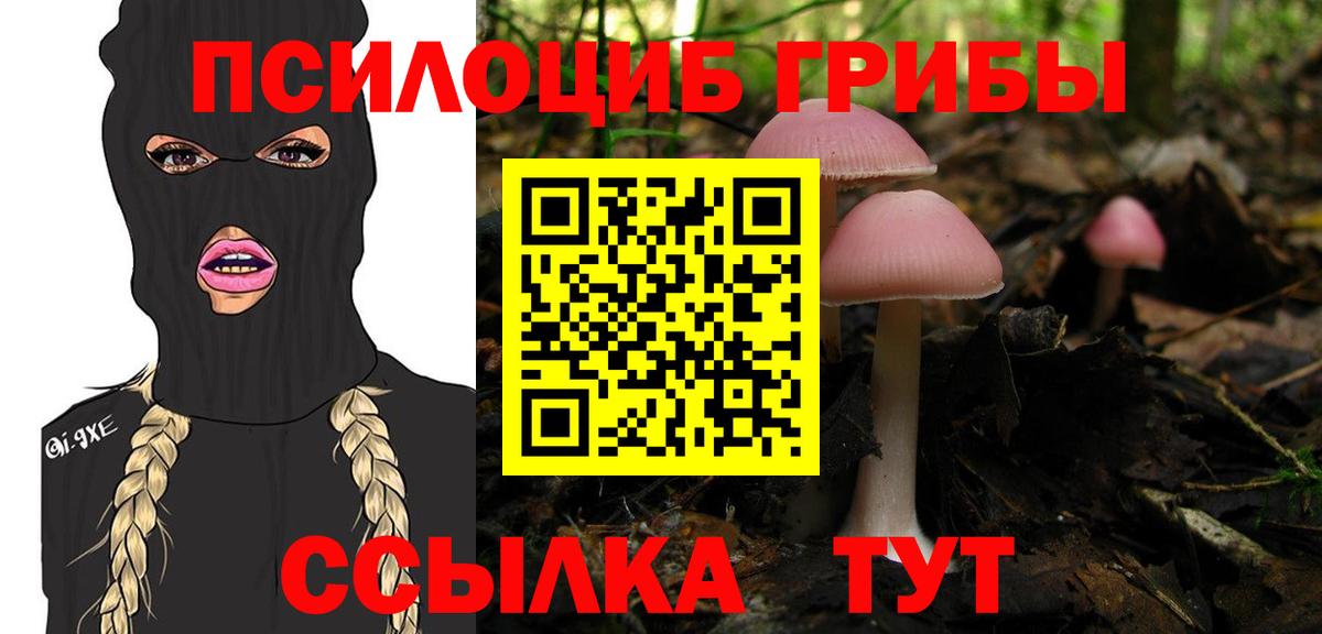 Псилоцибиновые грибы MAGIC MUSHROOMS Янаул
