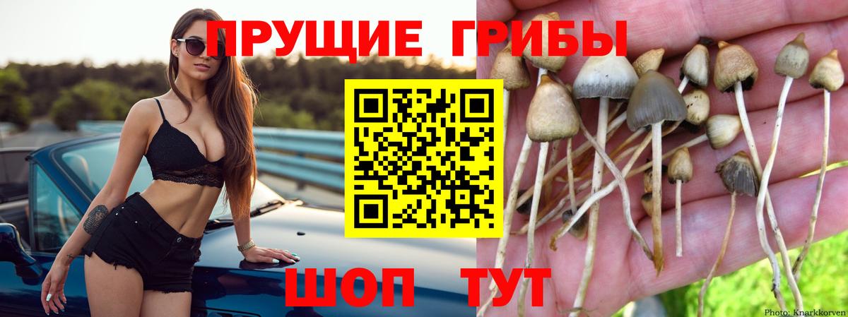 купить  сайты  Галлюциногенные грибы Magic Shrooms  Вход с VPN  Янаул 
